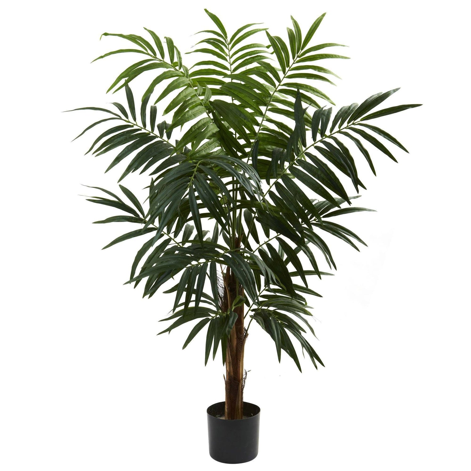 4.5’ Bulb Areca Tree