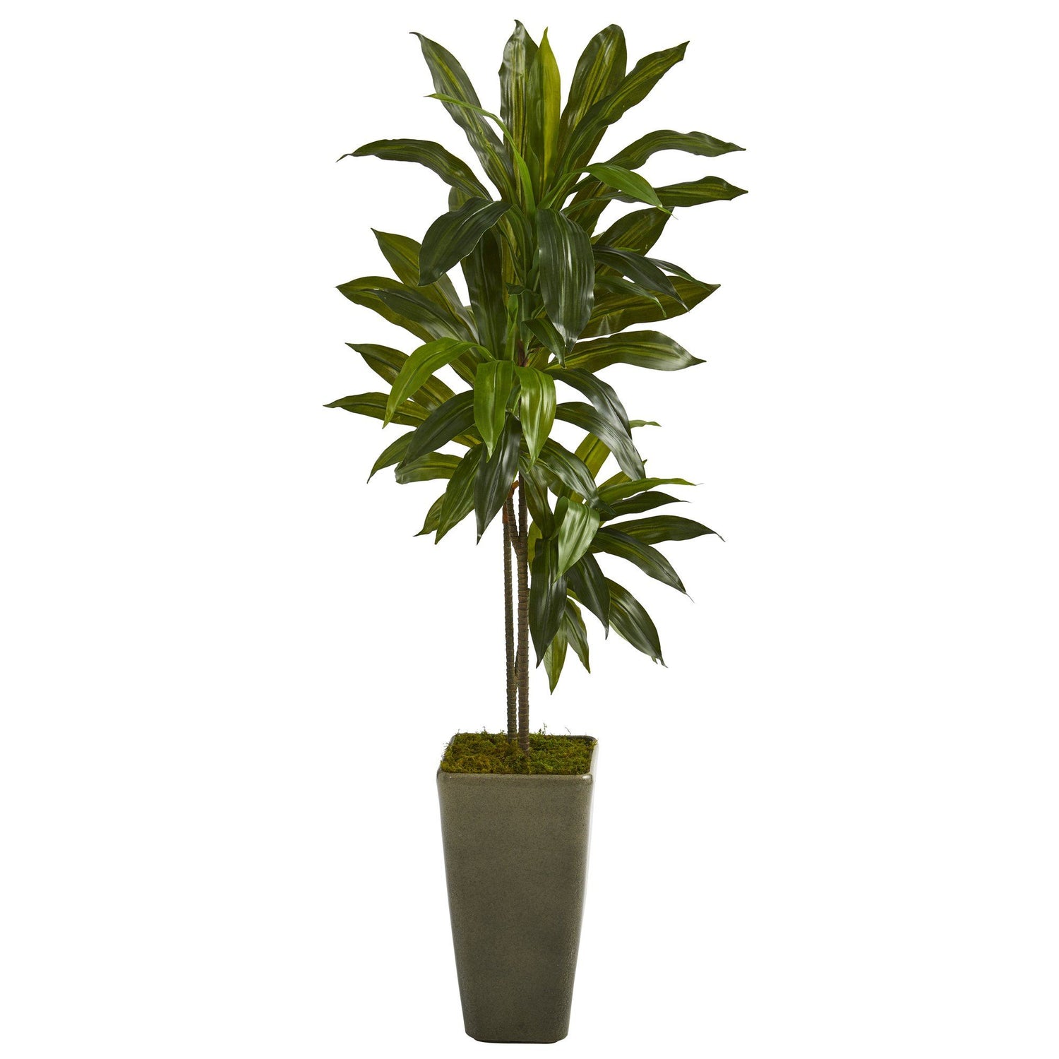 4.5’ Dracaena Artificial Plant in Green Planter (Real Touch)