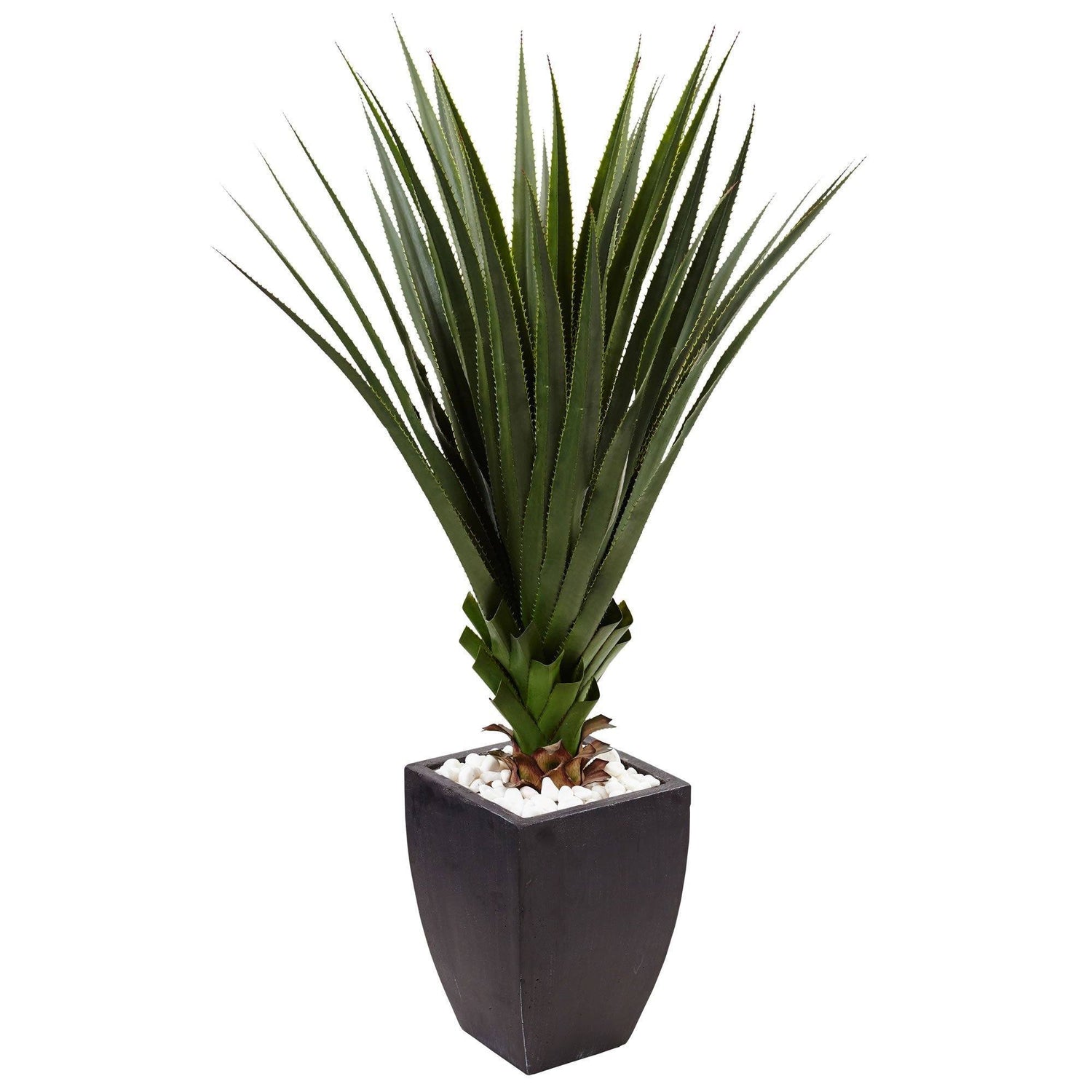 4.5’ Spiked Agave in Black Planter (Indoor/Outdoor)