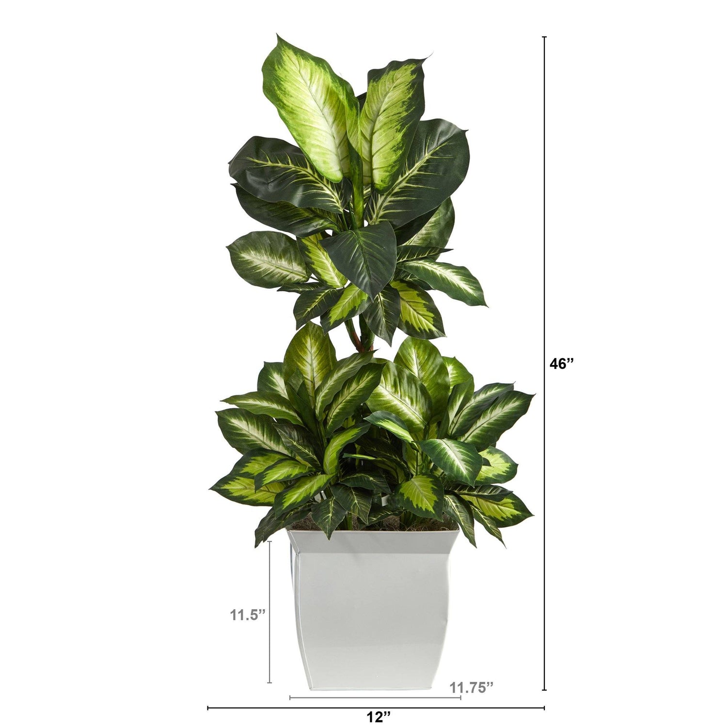 46” Golden Dieffenbachia Artificial Plant in White Metal Planter