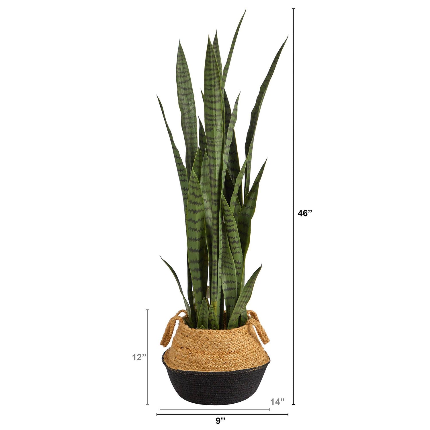 46” Sansevieria Plant in Cotton & Jute Black Woven Planter