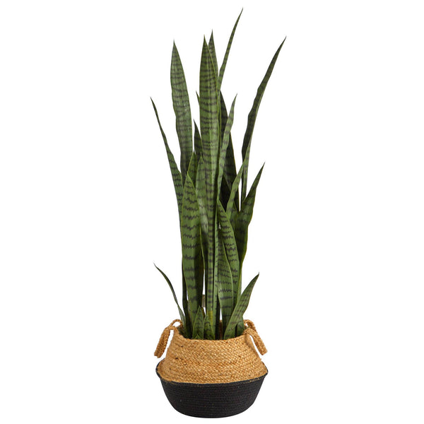 46” Sansevieria Plant in Cotton & Jute Black Woven Planter