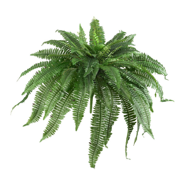 48” Boston Fern (Set of 2)