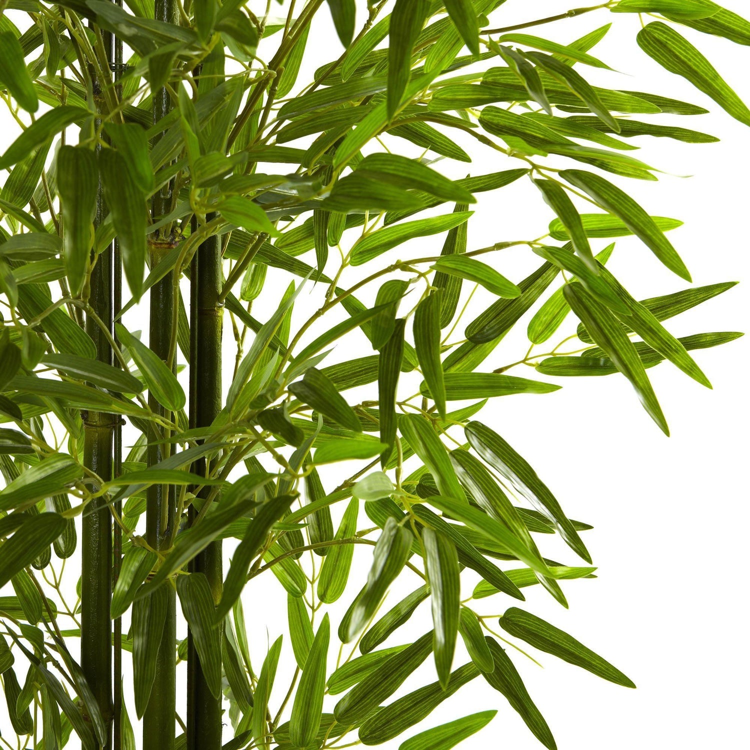 5' Bamboo Tree UV Resistant (Indoor/Outdoor)