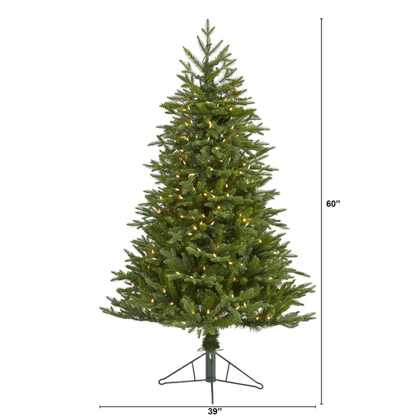 5' Cambridge Fir Artificial Christmas Tree with 300 Clear Warm (Multifunction) LED Lights with Instant Connect Technology and 570 Bendable Branches