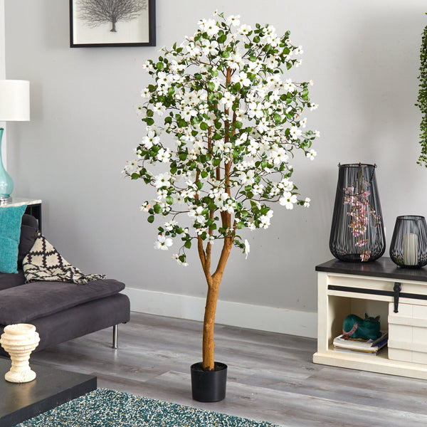 5' Dogwood Silk Tree