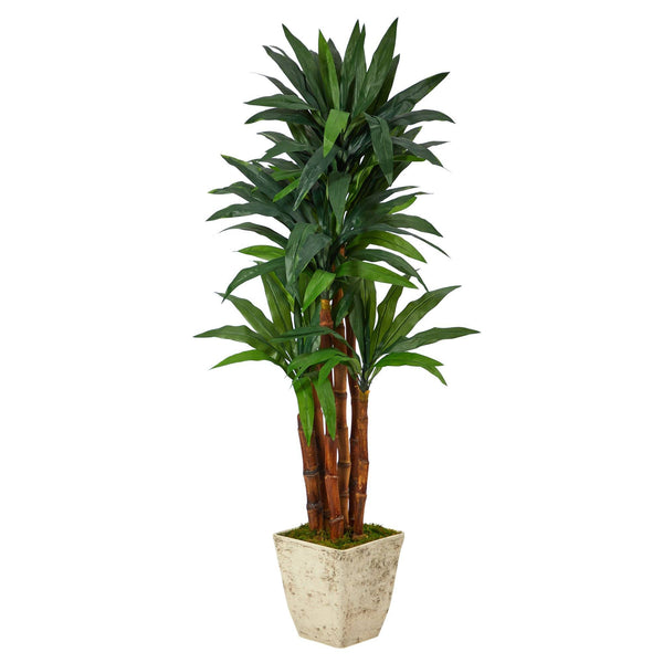 5’ Dracaena Artificial Tree in Country White Planter