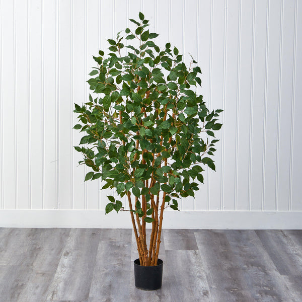 5' Ficus Bushy Silk Tree