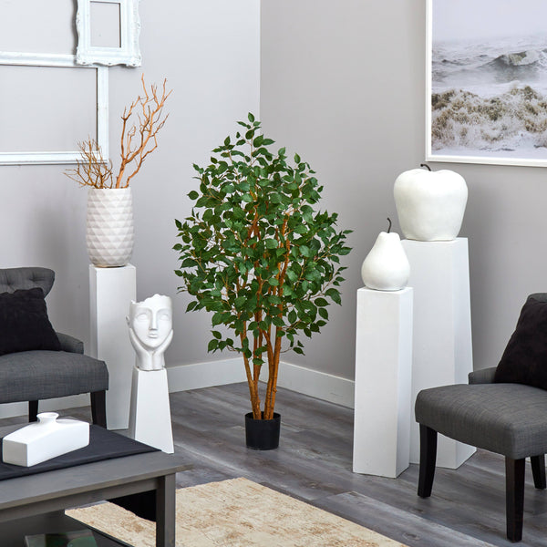 5' Ficus Bushy Silk Tree