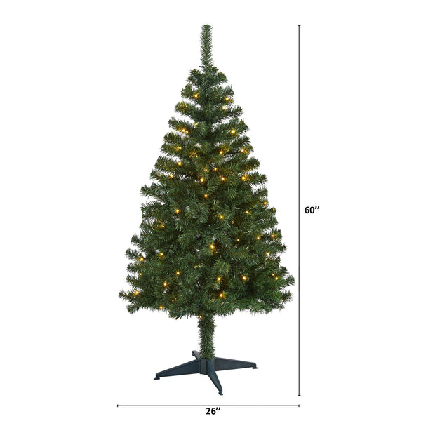 5' Northern Tip Pine Artificial Christmas Tree with 150 Clear LED Lights