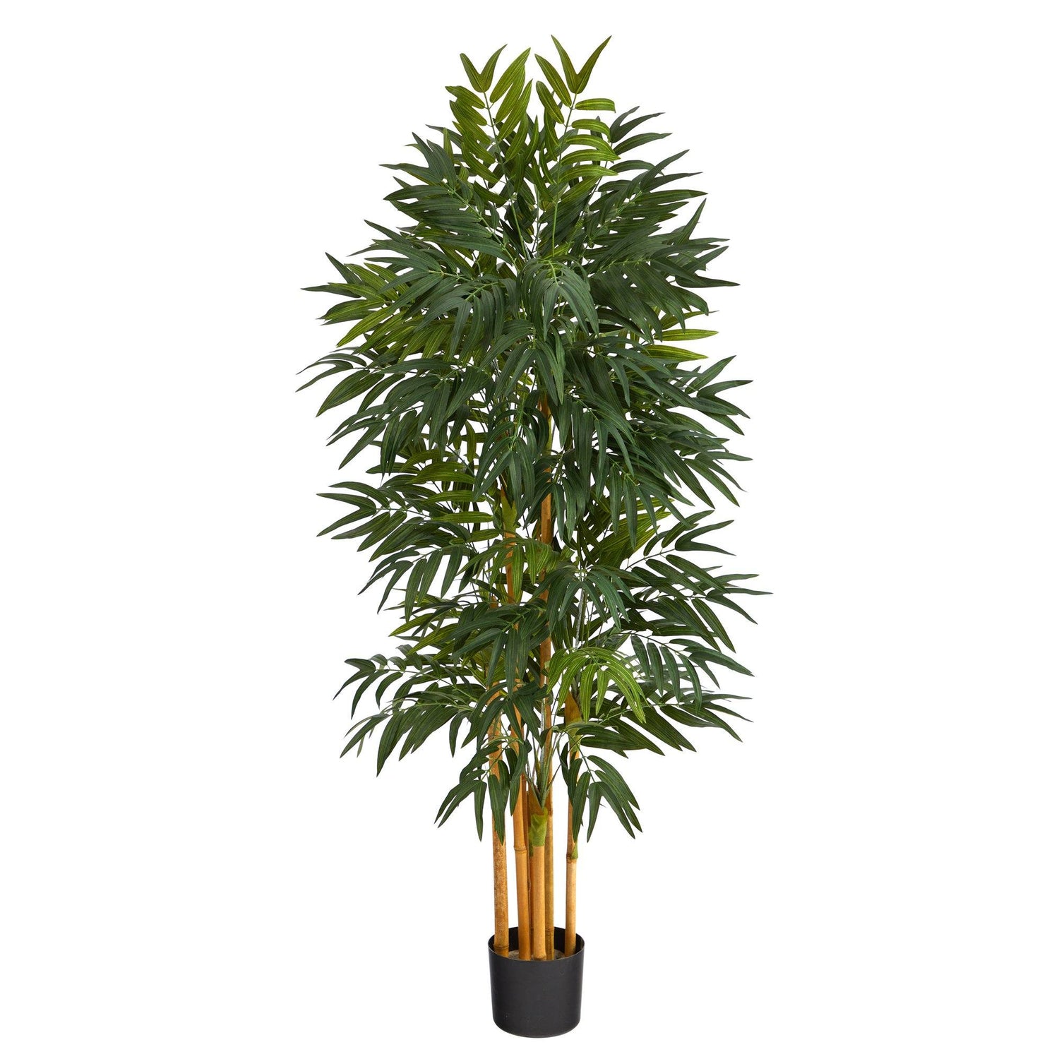 5’ Phoenix Palm Artificial tree with Natural Trunk