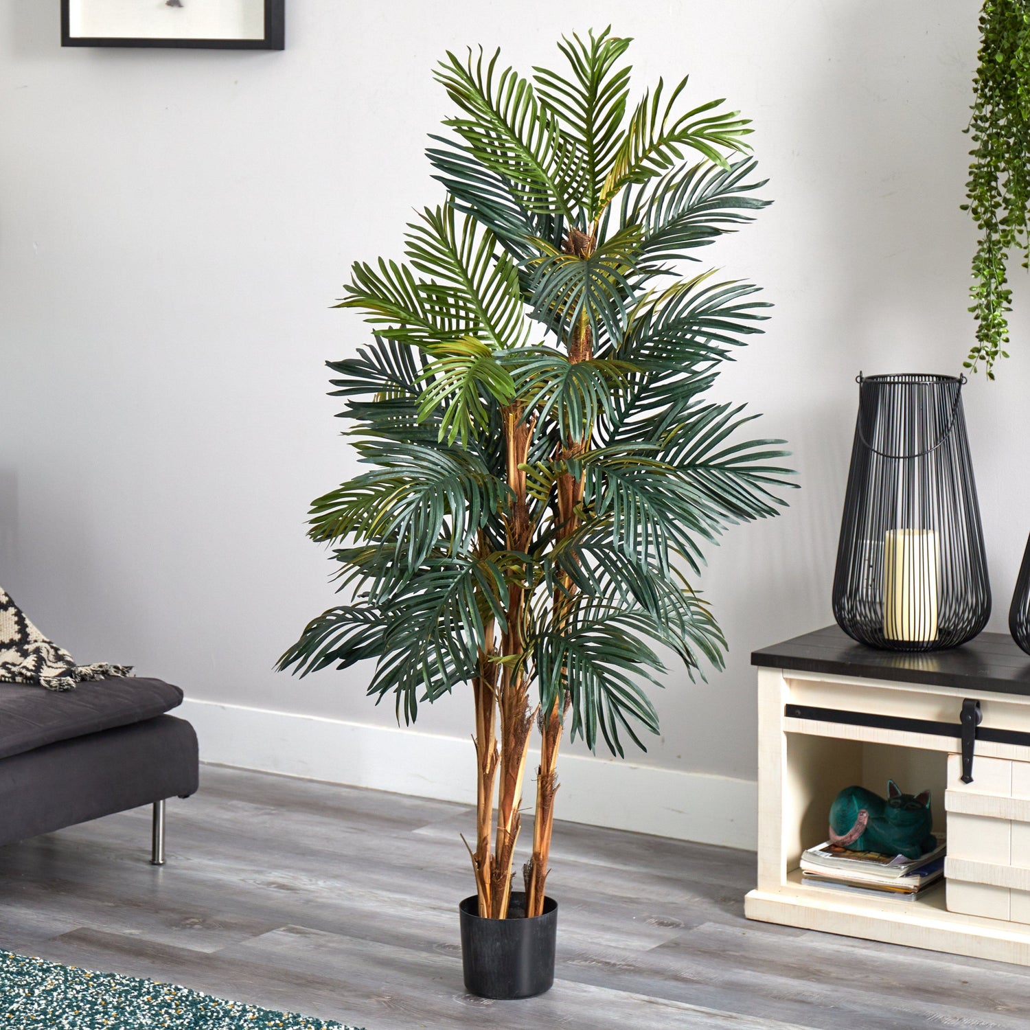 5' Robellini Palm Silk Tree