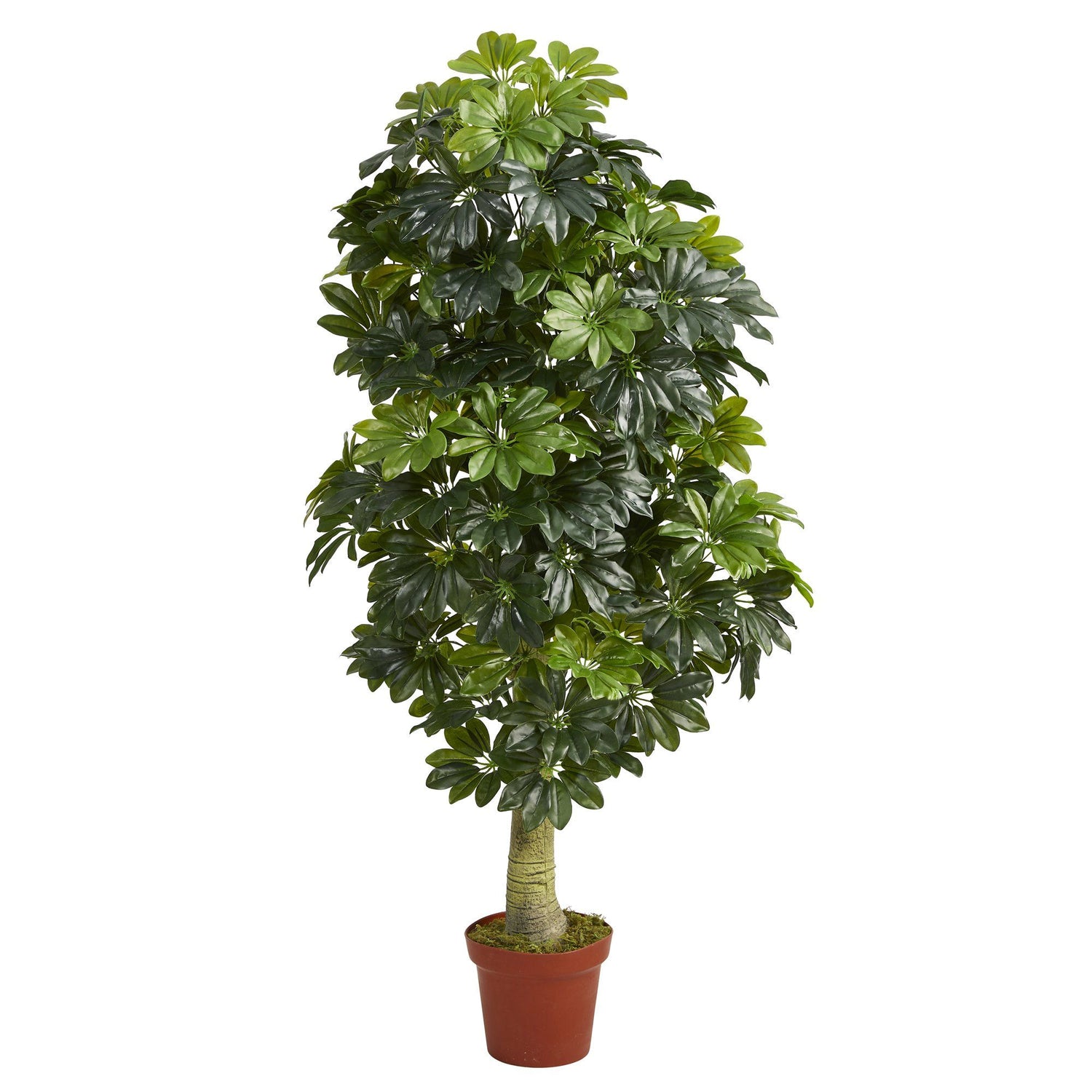 5' Schefflera Artificial Tree (Real Touch)