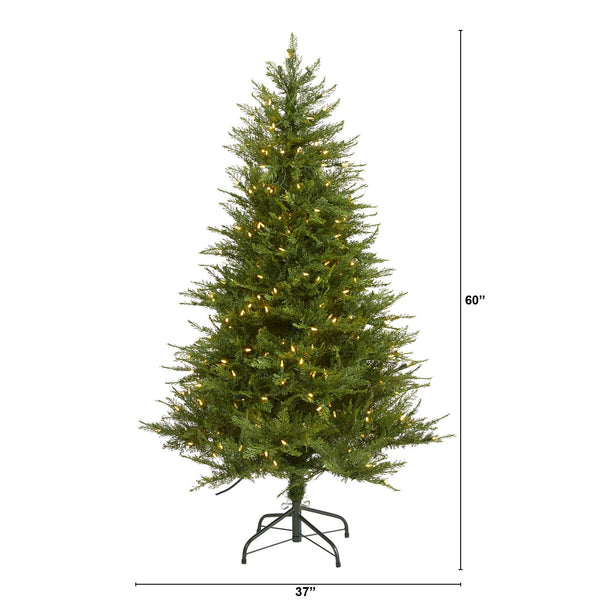 5’ Wisconsin Fir Artificial Christmas Tree with 250 Warm White LED Lights and 578 Bendable Branches