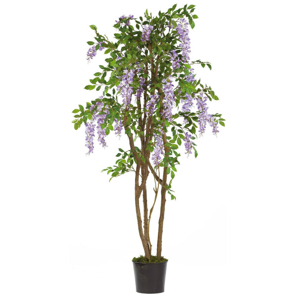 5' Wisteria Silk Tree