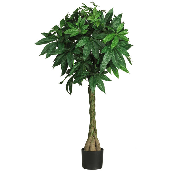 51" Money  Silk Tree"