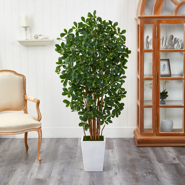 5.5’ Black Olive Artificial Tree with 1365 Bendable Leaves in Metal White Planter