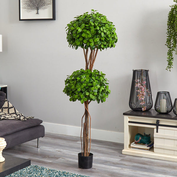 5.5' Eucalyptus Double Ball Topiary Silk Tree