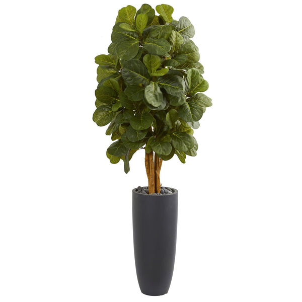 5.5’ Fiddle Leaf Artificial Tree in Gray Cylinder Planter