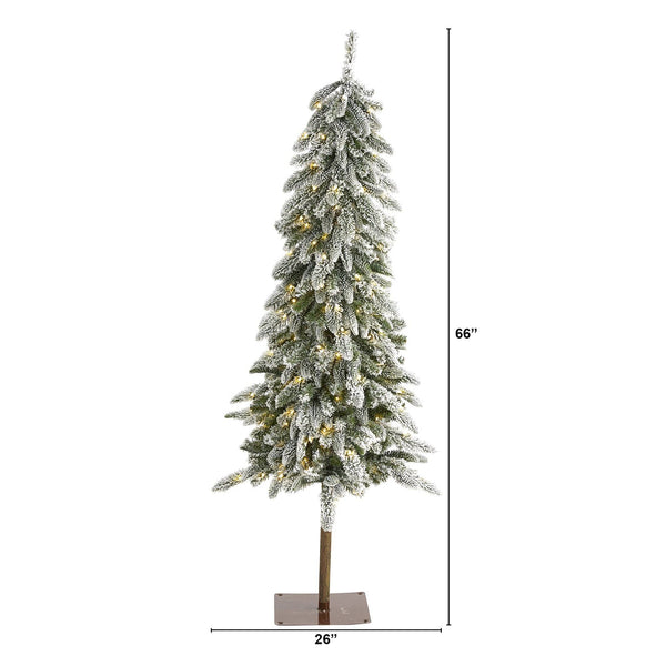 5.5’ Flocked Washington Alpine Artificial Christmas Tree