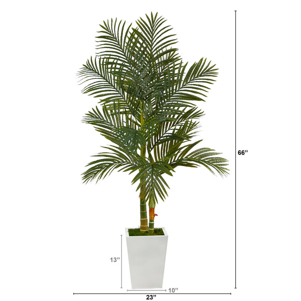 5.5’ Golden Cane Artificial Palm Tree in White Metal Planter