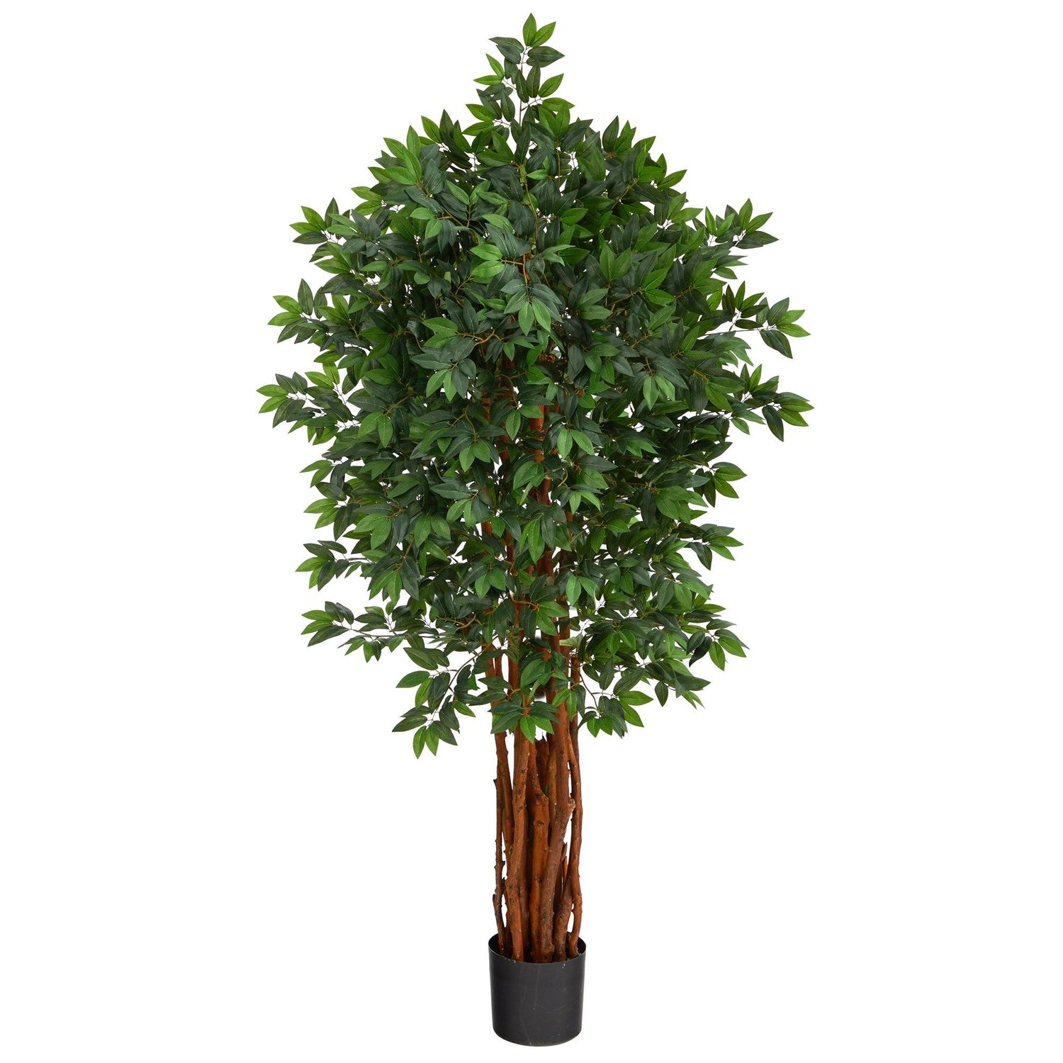 5.5’ Lychee Artificial Tree with Natural Trunk