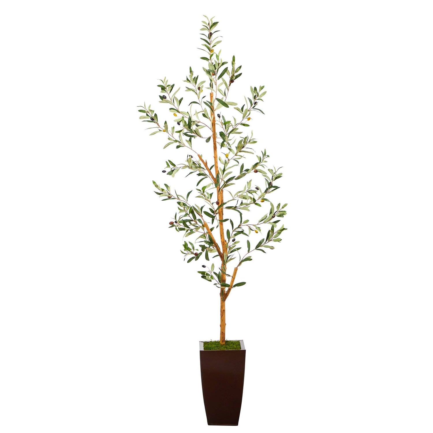 5.5’ Olive Artificial Tree in Bronze Metal Planter