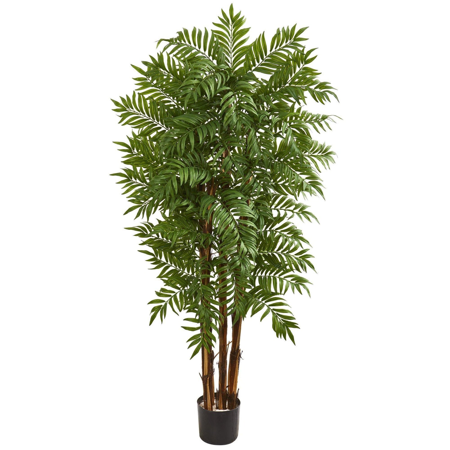 5.5’ Parlour Artificial Palm Tree