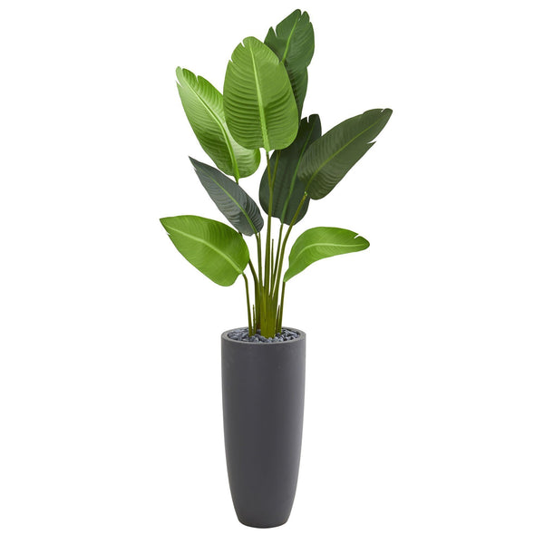 5.5’ Traveler's Palm Artificial Tree in Gray Planter