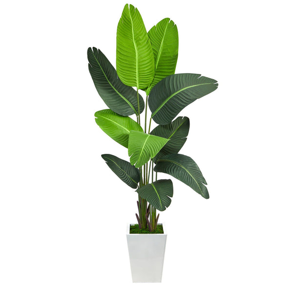 5.5’ Travelers Palm Artificial Tree in White Metal Planter