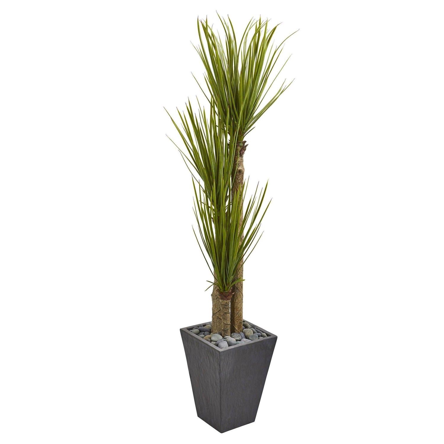 5.5’ Triple Stalk Yucca Artificial Plant in Slate Planter