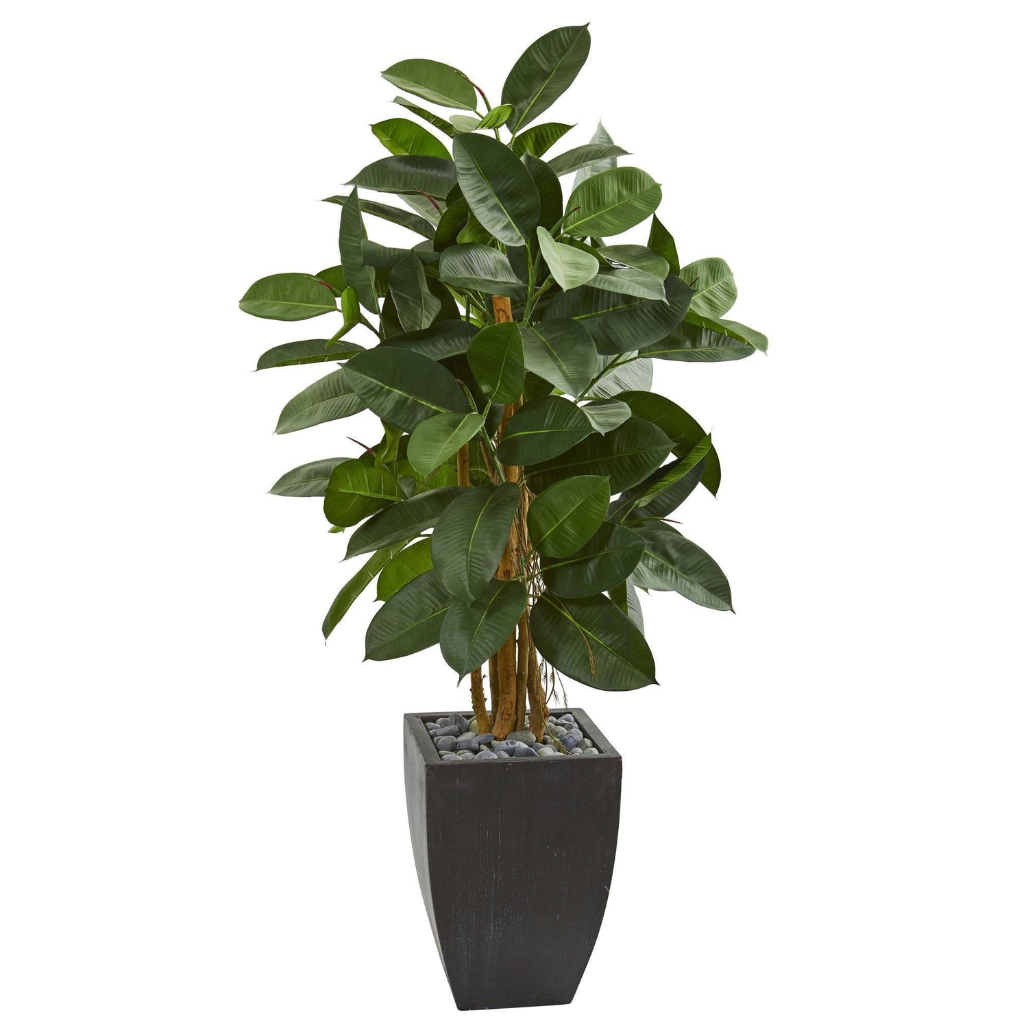 56” Artificial Rubber Tree in Black Planter