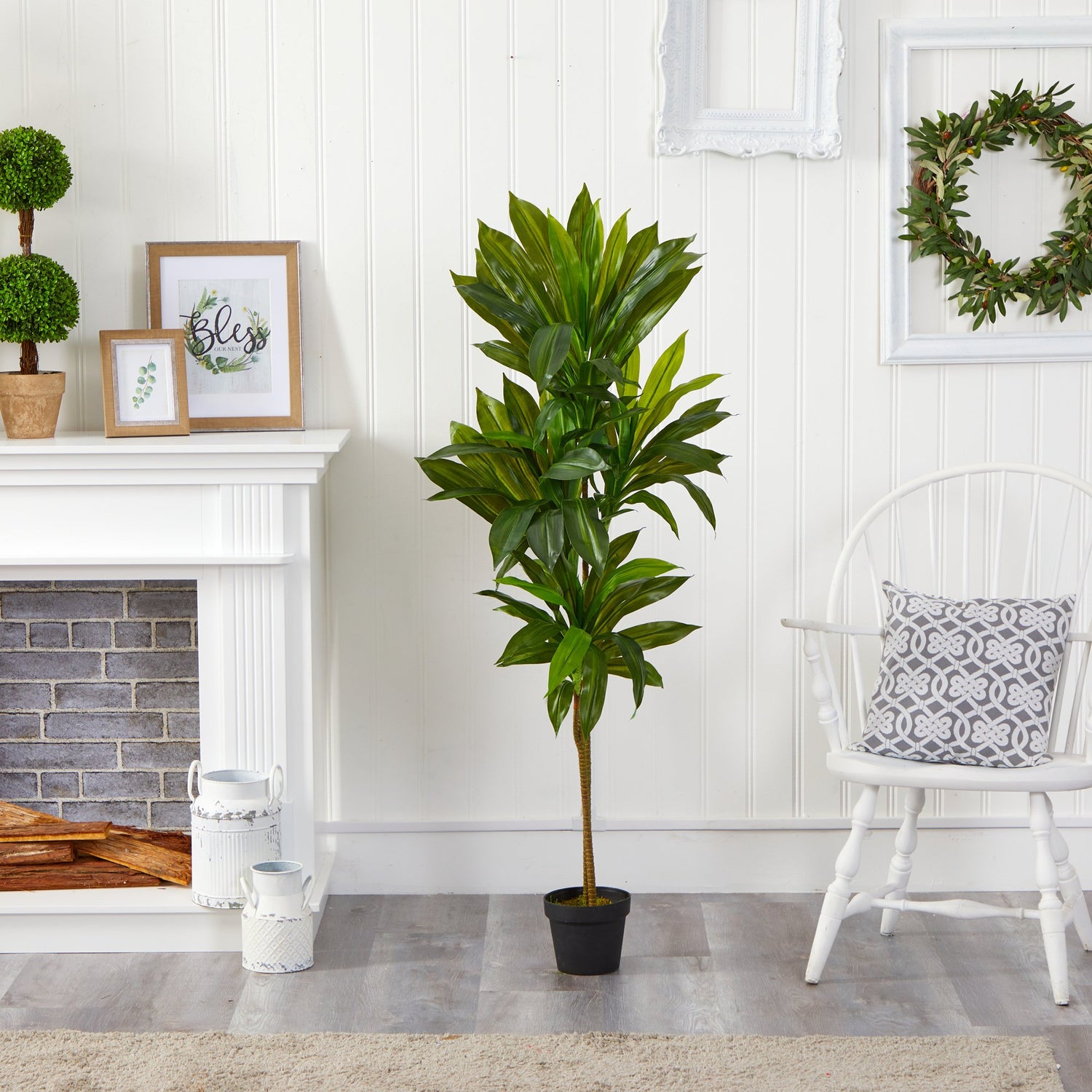 56” Dracaena Artificial Plant (Real Touch)