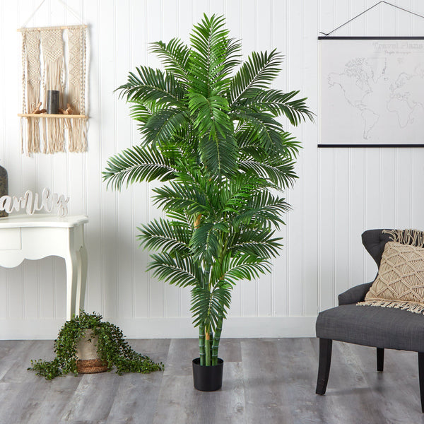 6’ Curvy Parlor Palm Silk Tree