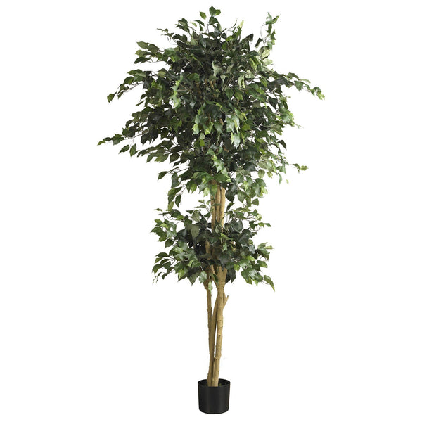 6' Double Ball Ficus Silk Tree