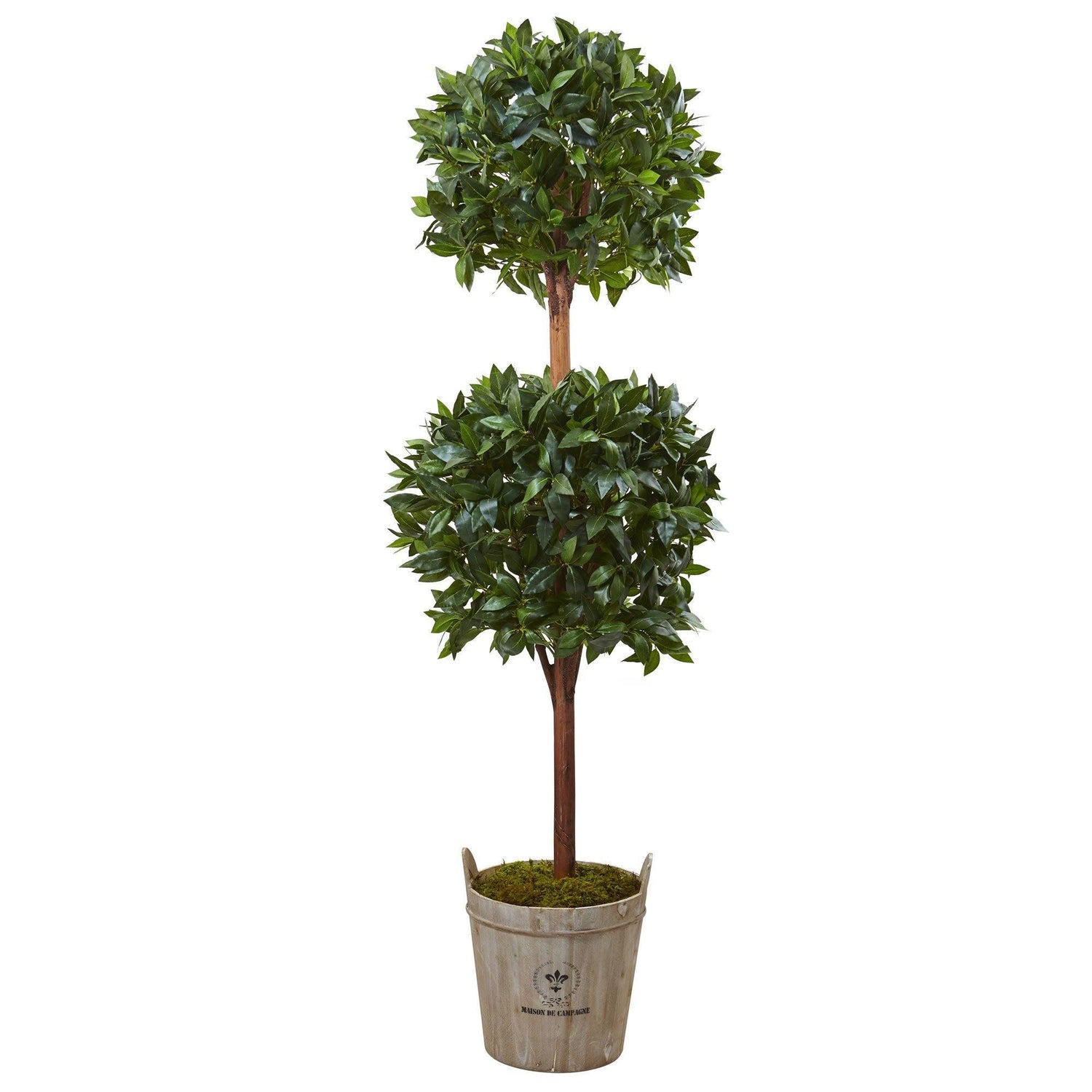 6’ Double Ball Topiary Tree with European Barrel Planter