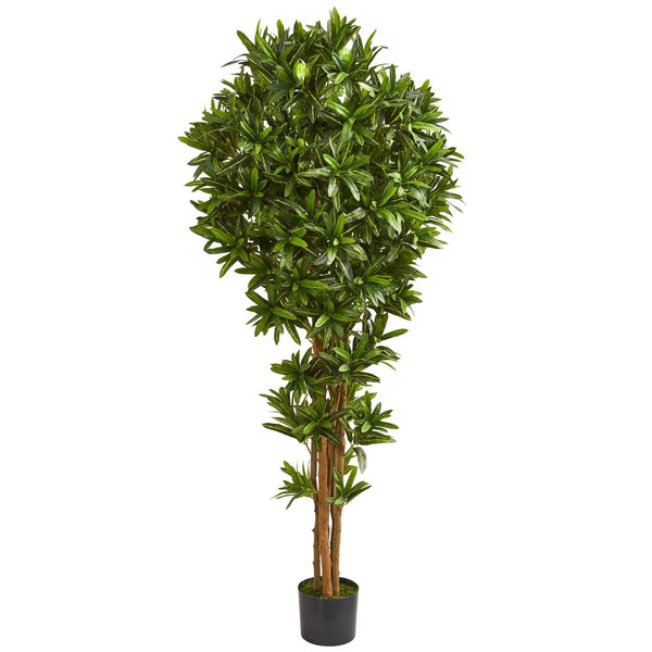 6’ Dracaena Artificial Tree