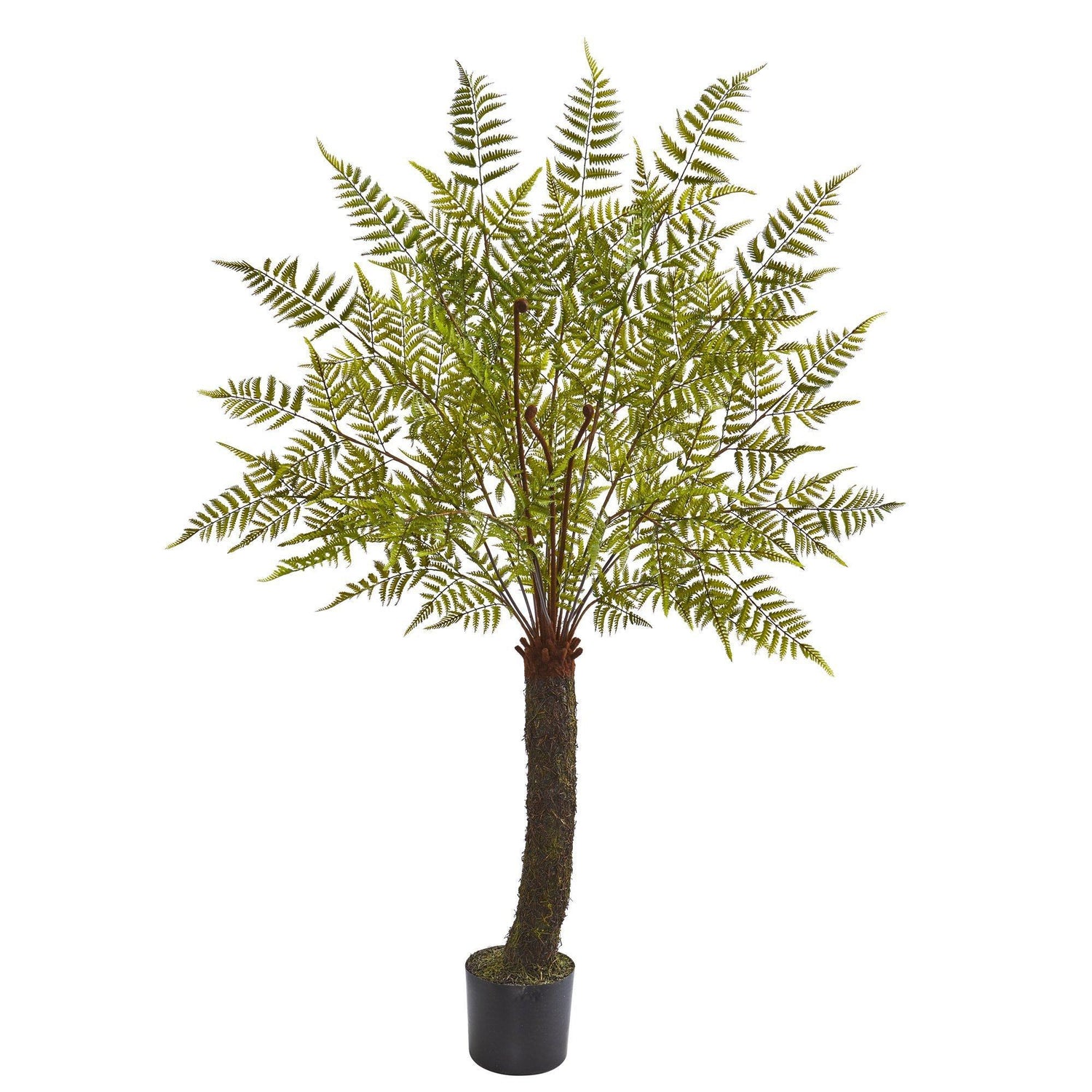 6’ Fern Artificial Plant