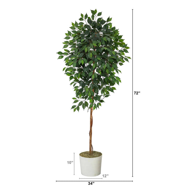 6’ Ficus Artificial Tree in White Tin Planter