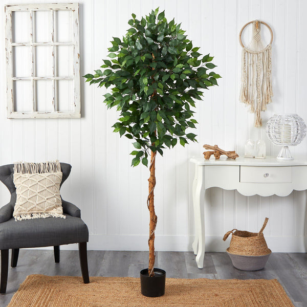 6’ Artificial Ficus Tree