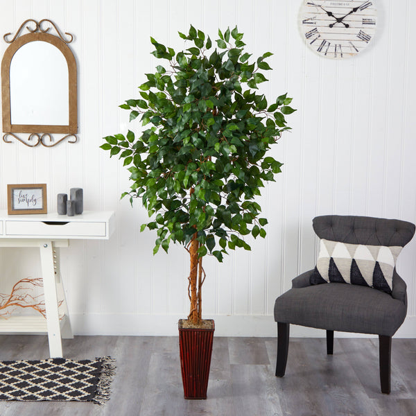 6' Ficus Tree w/Bamboo Planter