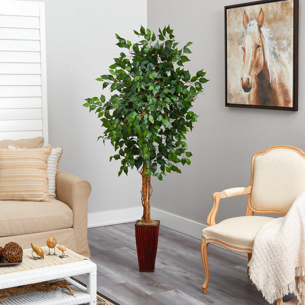 6' Ficus Tree w/Bamboo Planter