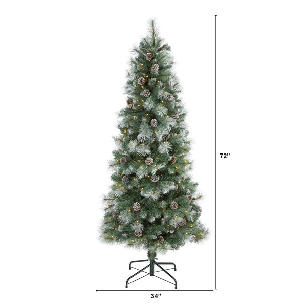 6’ Frosted Tip British Columbia Mountain Pine Artificial Christmas Tree with 250 Clear Lights, Pine Cones and 588 Bendable Branches