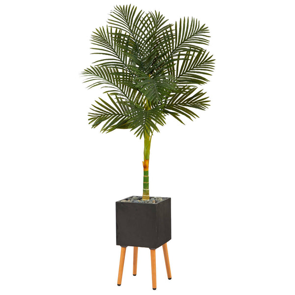 6’ Artificial Golden Cane Palm Tree in Black Planter with Stand