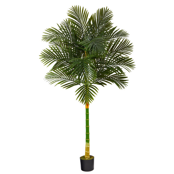 6’ Single Stalk Golden Cane Artificial Palm Tree