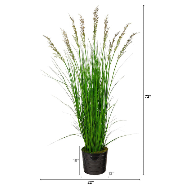 6’ Grass Artificial Plant in Black Tin Planter with Faux Moss