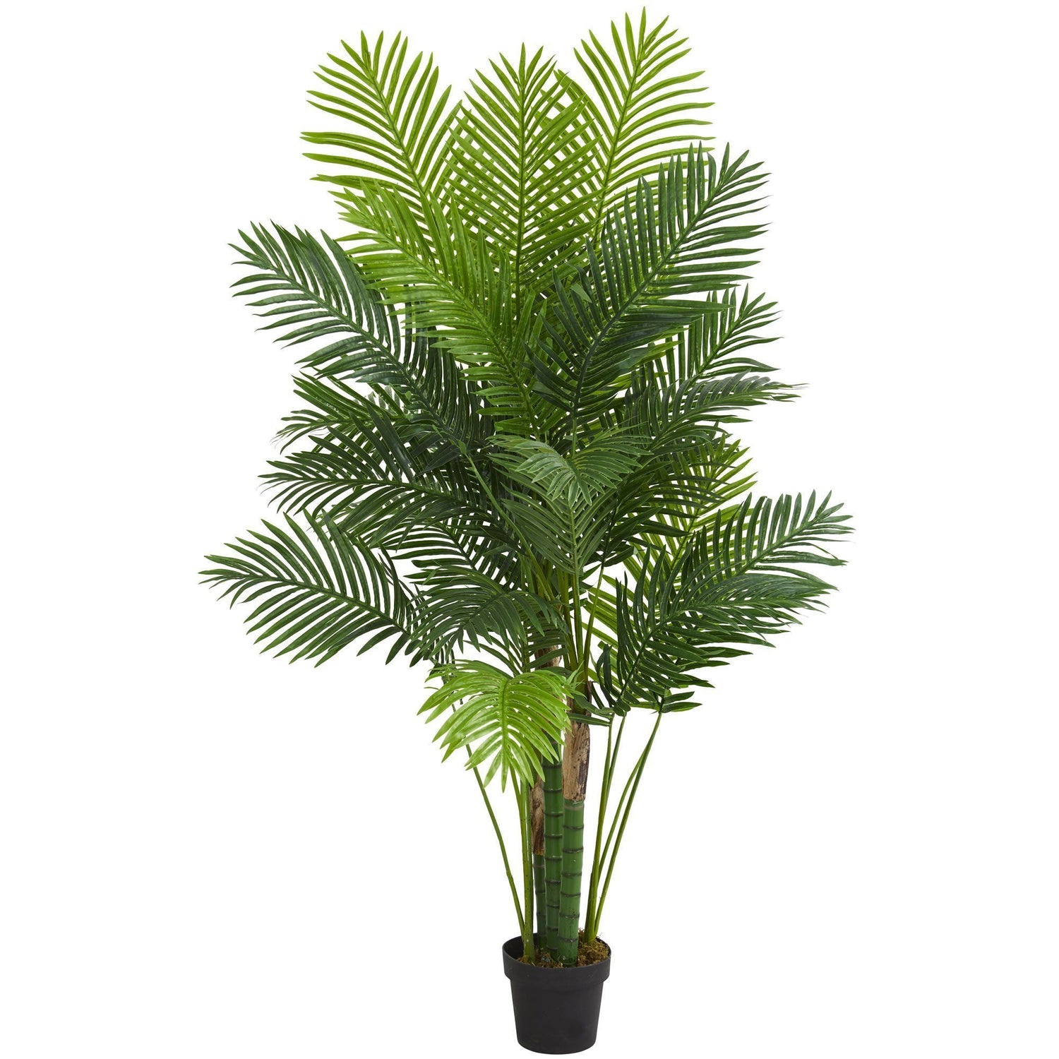 6’ Hawaii Palm Artificial Tree