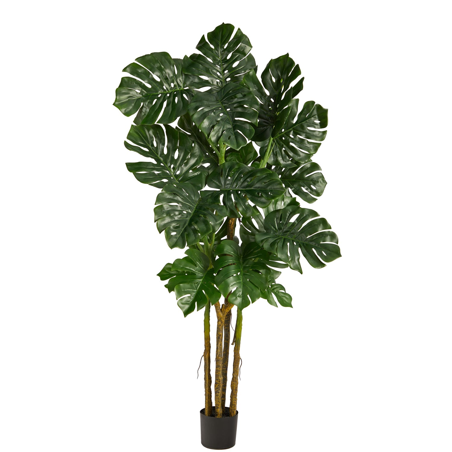 6’ Monstera Tree Artificial