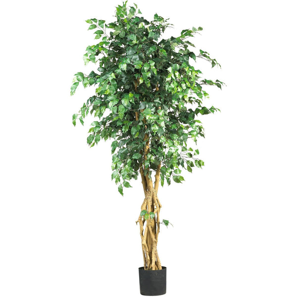 6'  Palace Style Ficus Silk Tree