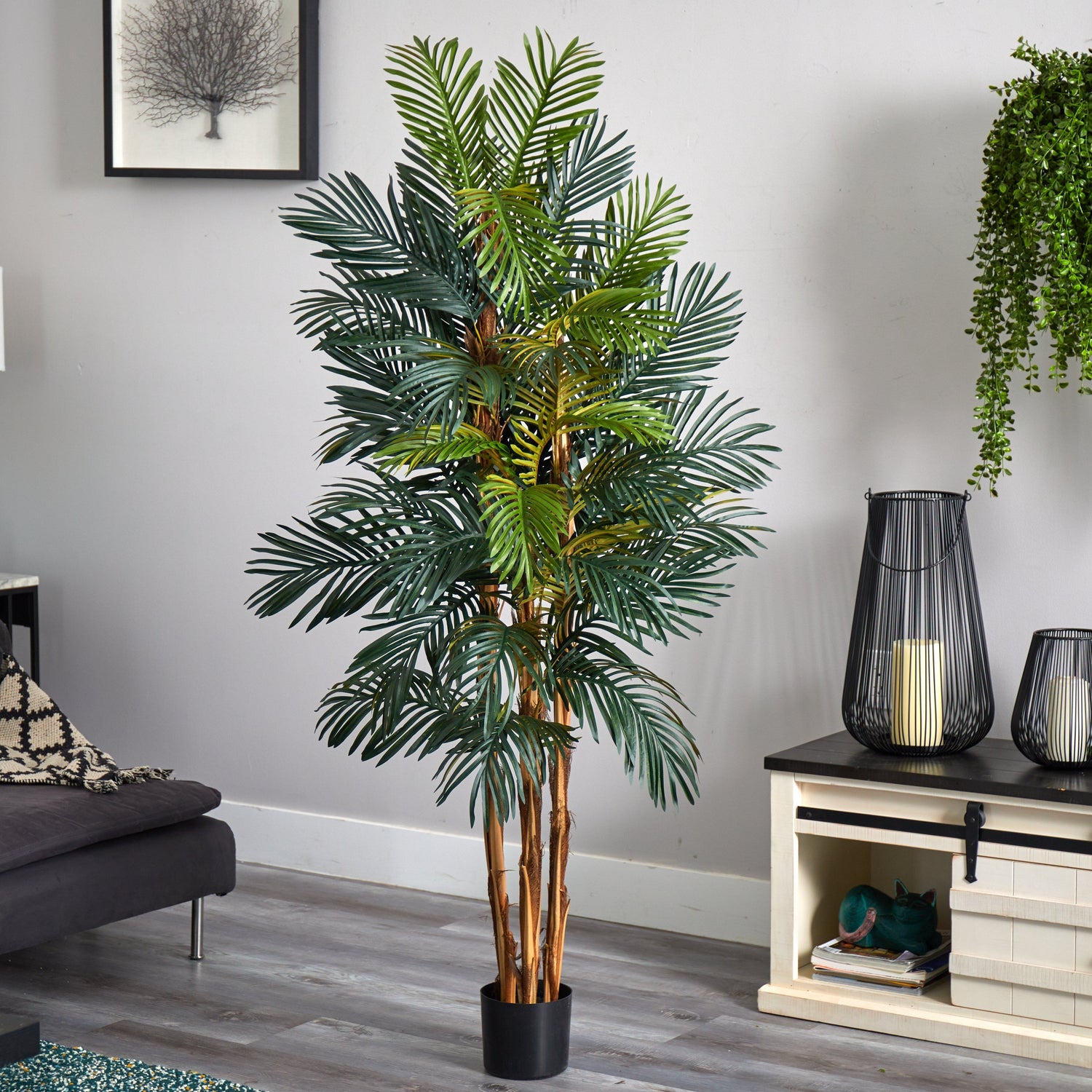 6' Robellini Palm Silk Tree